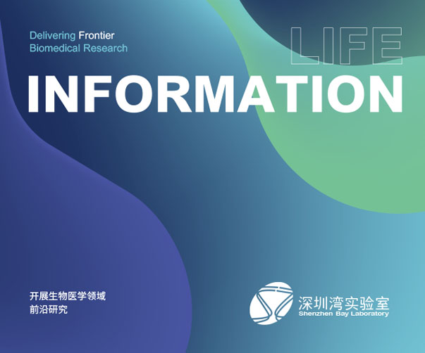 從潔凈之光，雕琢醫用包裝公司VI設計的“守護印記”